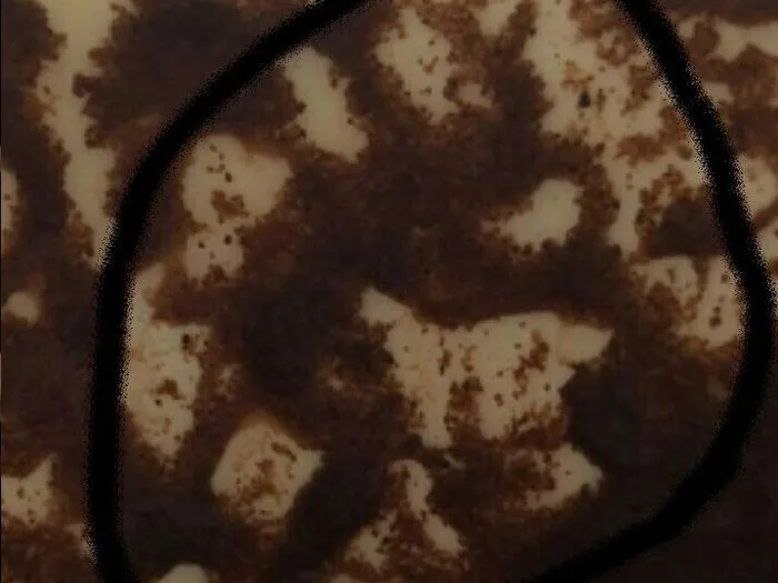 Запись на прием к гадалке в Туймазах